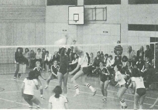 Volleyball Bundesliga 1977